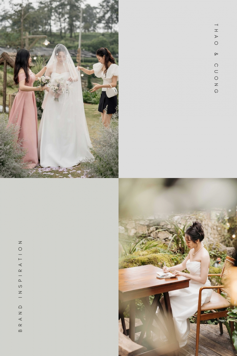 Ảnh số 5